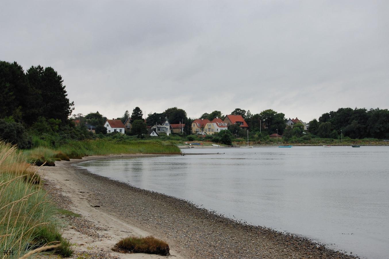 Lilleriis til Lindevej