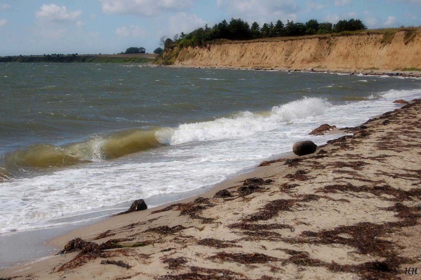 Thissinghus-Sillerslev