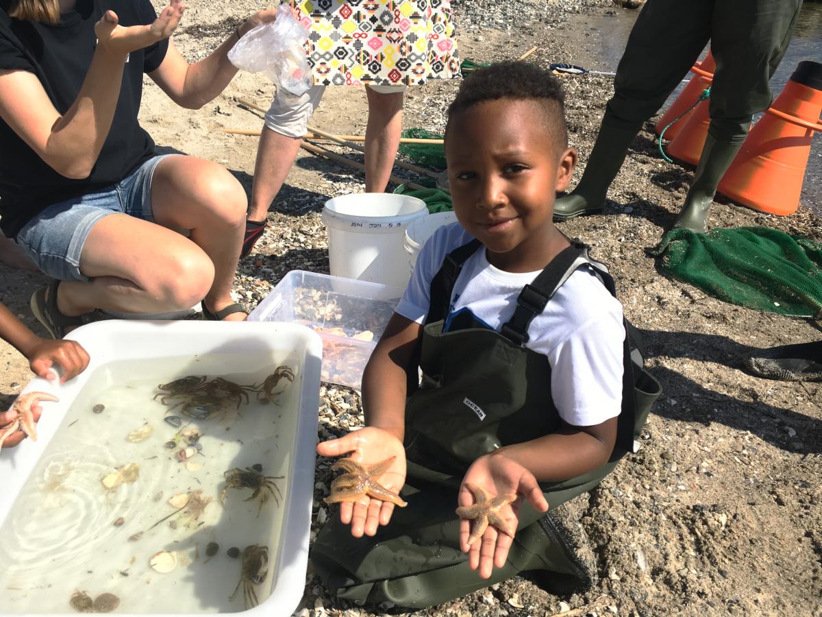 Biologi i strandkanten