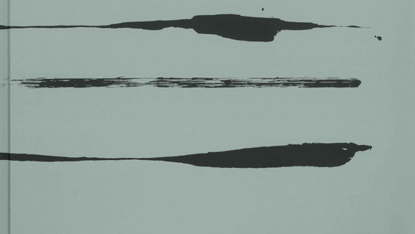 Finn Have - Mors i Billedet