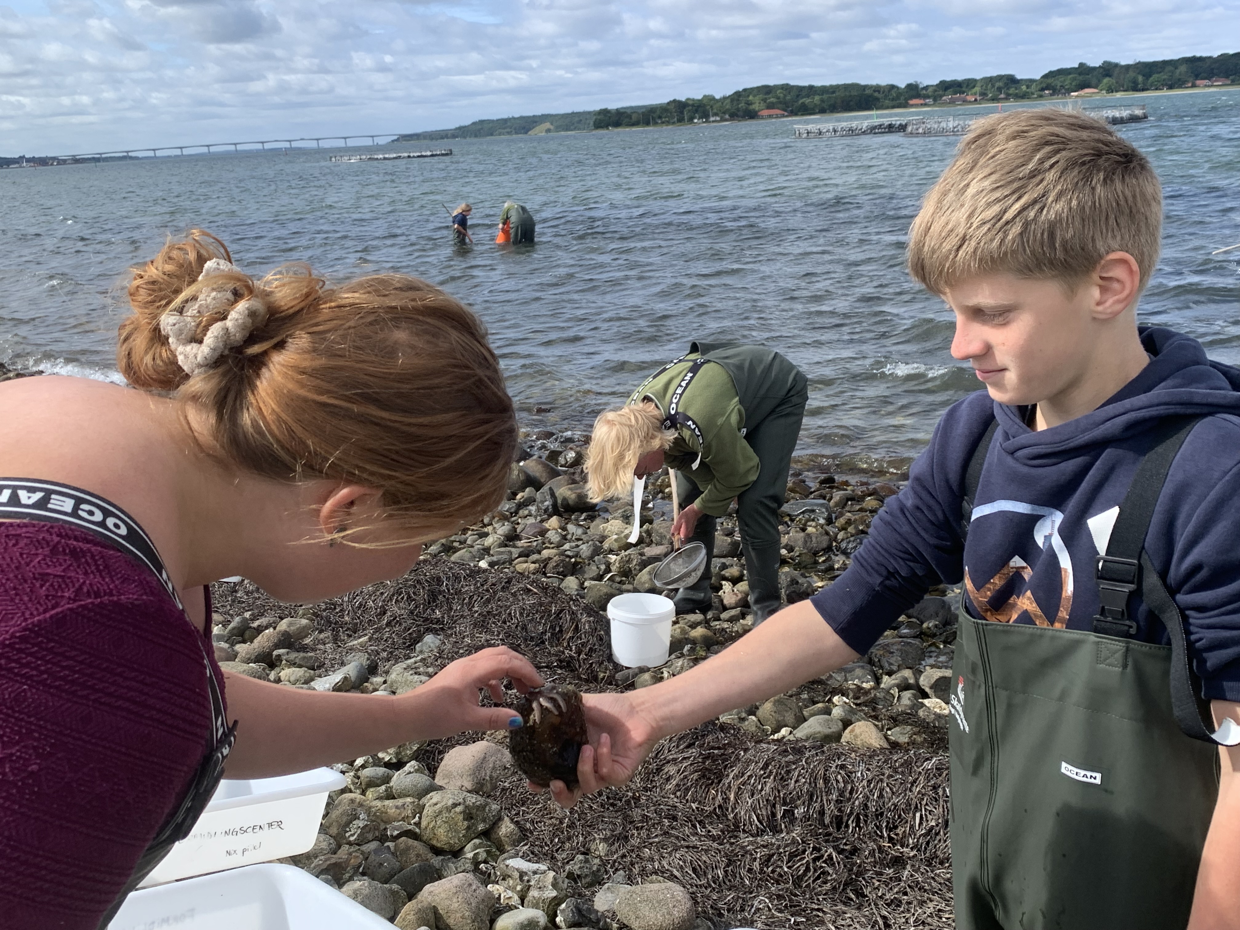 Biologi i Strandkanten 2023