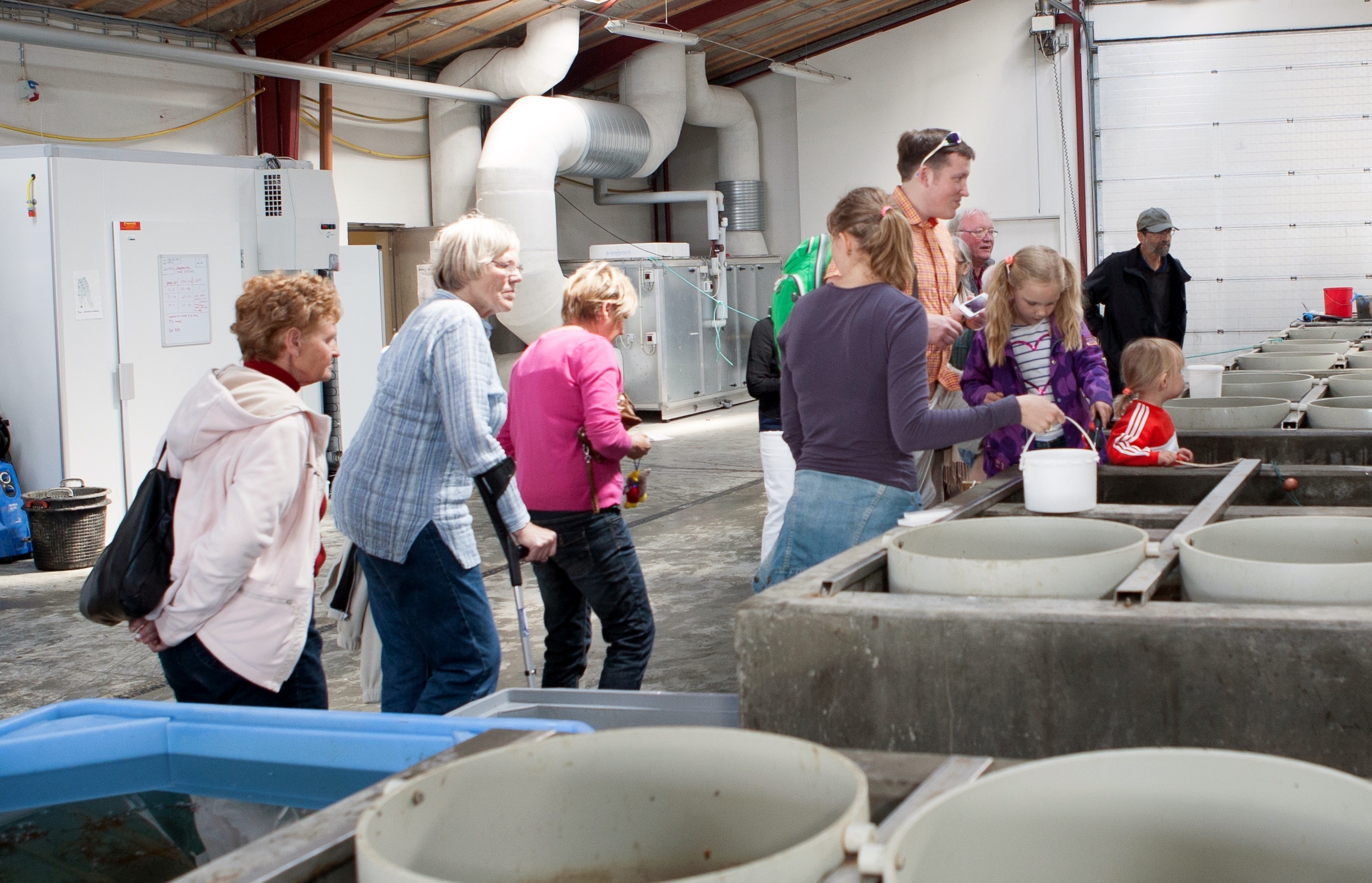 Rundvisning Dansk Skaldyrcenter