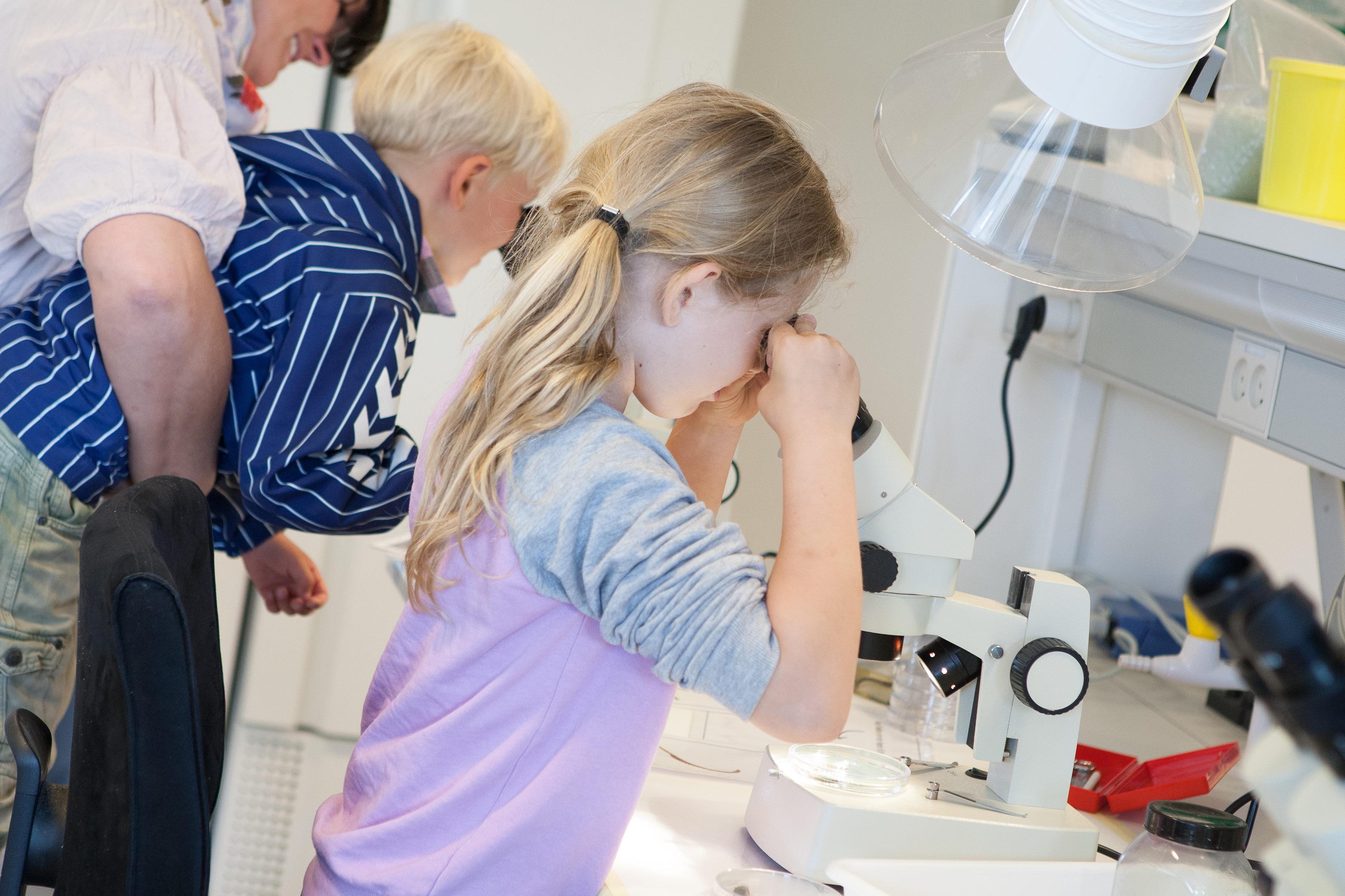 Rundvisning Dansk Skaldyrcenter
