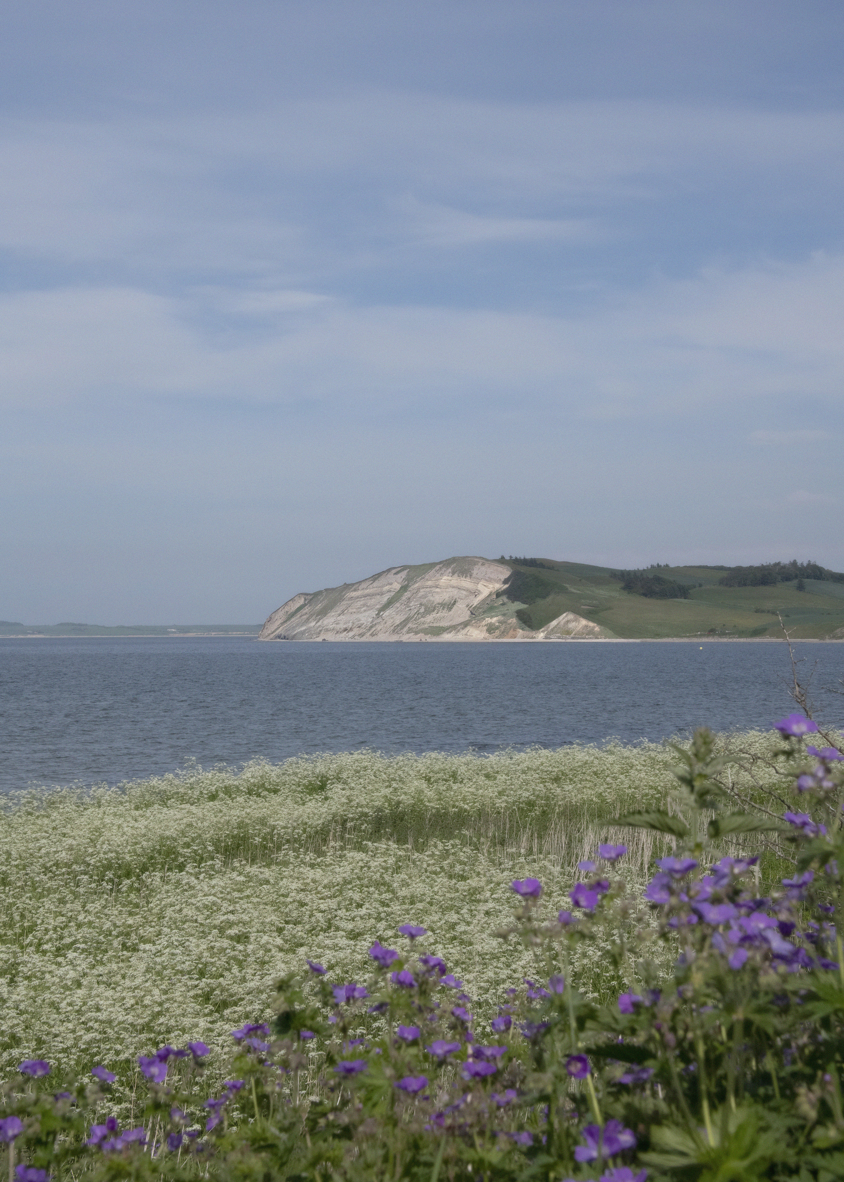 Hanklit Lene Shannon